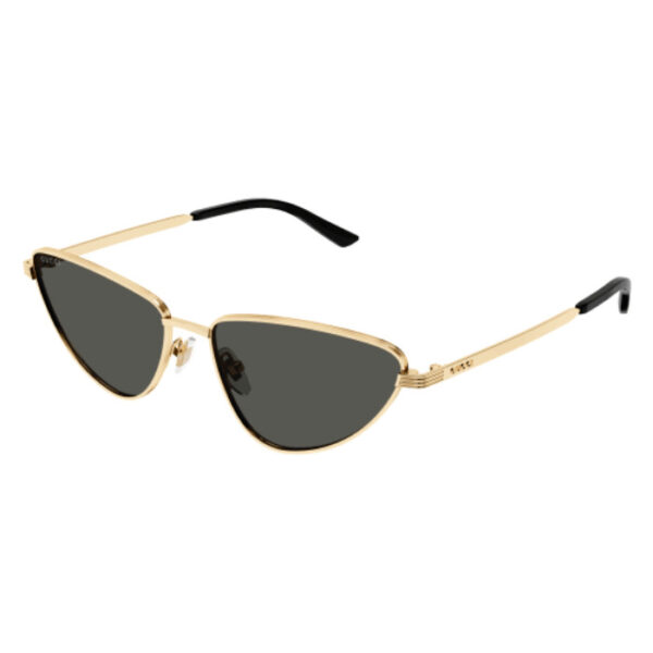 Γυαλιά Ηλίου Gucci GG1879S 001